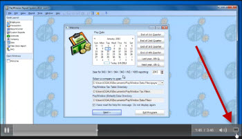 Maximize Video View